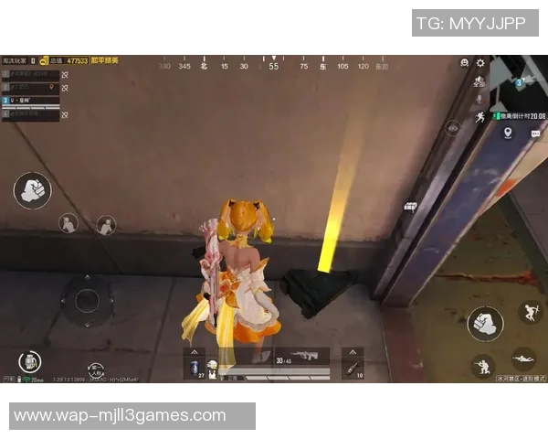 深度探讨刘秀英在和平精英中的成长与人生哲学